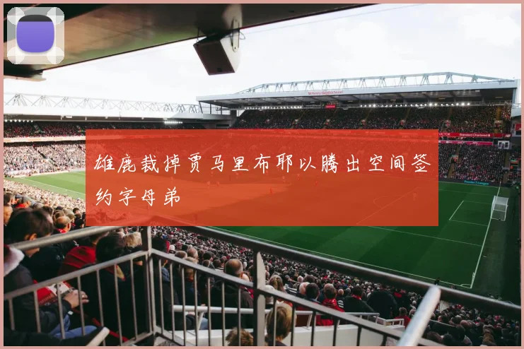 雄鹿裁掉贾马里布耶以腾出空间签约字母弟