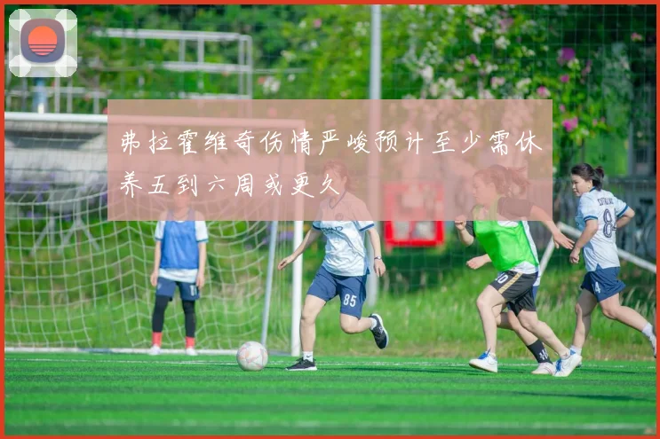 弗拉霍维奇伤情严峻预计至少需休养五到六周或更久
