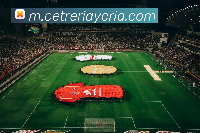电竞数据